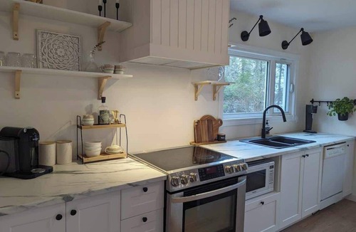 Saint-David-de-Falardeau House | Rivage | Tavata Chalets | tout de blanc