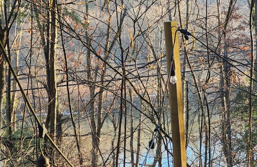 Susquehanna Cabin | River Owl Cabin, Peaceful 2-bedroom cabin with cozy fire in charming Susquehanna