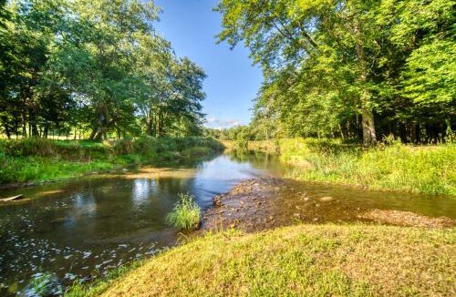 Titusville House | Scenic Log Cabin with Fire Pit & Stocked Creek!