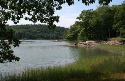 Deer Isle House | Sea Green Cottage - Delightful tidal oceanfront camp