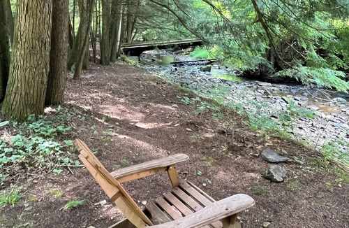 Tylersburg Cabin | Secluded Nature Escape w/Firepit Under the Stars! Family and Friends Reconnect!