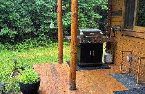 Wells Cottage | Serene Cottage Escape in Wells, NY ADK Peace, Pines & Possibility. Dogs Welcome!