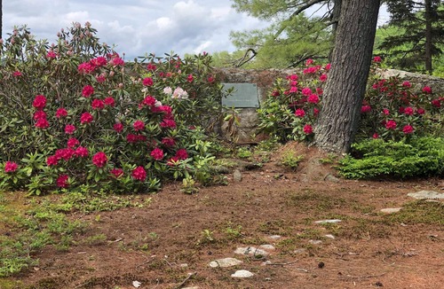 Bryant Pond Cabin | Small private Island on scenic Maine pond with charming authentic log cabin.