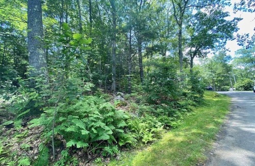 Edgecomb Cottage | Spacious 1 Bedroom Cottage Close to Everything 3