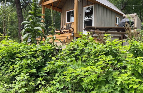 Hammondsport Cabin | STARWOOD - PET FRIENDLY! - OFF GRID - ROMANTIC - ON WINE TRAIL