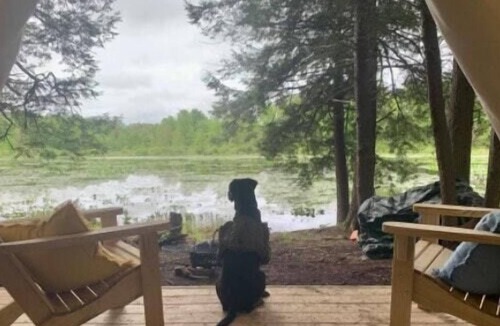 Guys Mills RV Rental | Tentrr Signature Site - Beavers Landing
