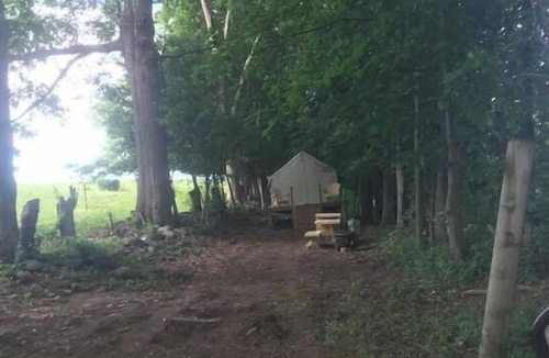 Johnstown RV Rental | Tentrr Signature Site - Dreamroad Farm Pasture View