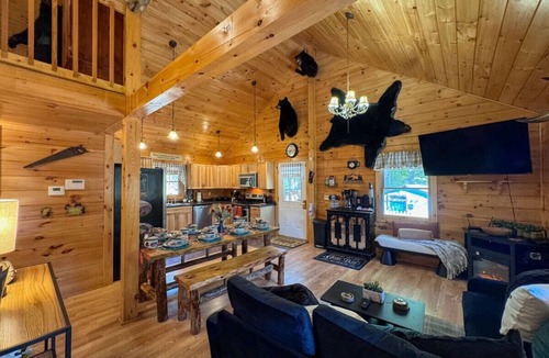 Brownfield Cabin | The Bear's Den | Lake Access, Hot Tub, Firepit!