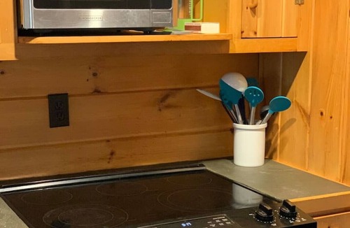 Greenville Cabin | The Bunkhouse *Waterfront* Sleeps 17* Pet friendly