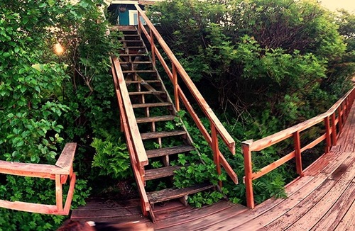 Halibut Cove Cabin | The Green Cabin