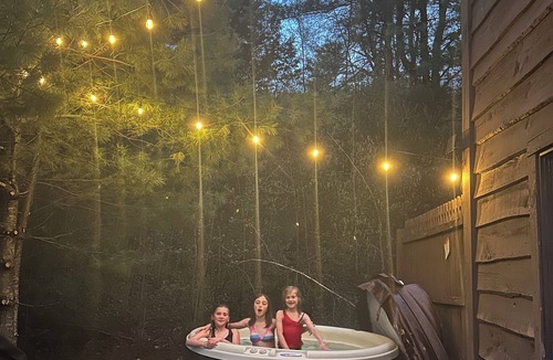 Greenwood Cabin | The Greenwood Cabin nA cozy 3 bedroom retreat with sauna and hot tub!