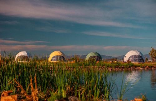 Willcox Other | The Hive