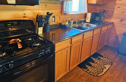 Greenville Cabin | The Lily Pad-Direct ATV Access*Close to Town*Pet Friendly*A/C
