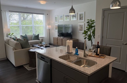 Tuttle West Apartment | The Queen of Dublin | Luxury 2BR Near Bridge Park | Pool + Gym
