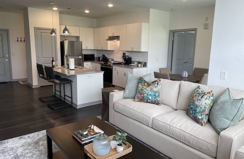 Tuttle West Apartment | The Queen of Dublin | Luxury 2BR Near Bridge Park | Pool + Gym