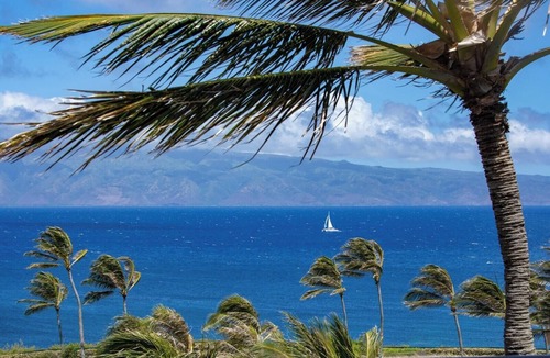 Montage Kapalua Bay Condo | The Resort at Kapalua Bay 3-Bedroom Grand Residence with Ocean Views and Complimentary Rental Car with 6+ Nights | MON-2604 by KBM