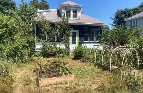 Willard Apartment | The Wild Yard Home