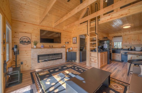 Murphy Cabin | Tiny cabin - Big Amenities - King Bed - Secure Dog Yard