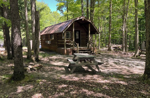 Bradford Cabin | Tranquil 1-bedroom cabin with AC in Allegheny National Forest
