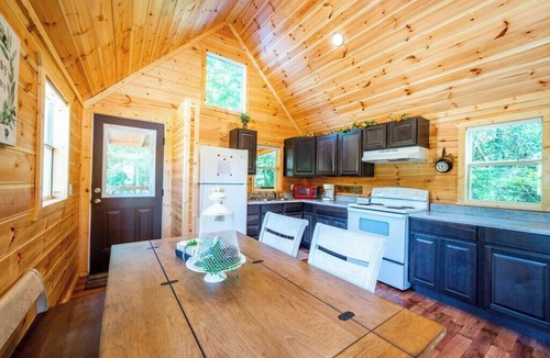 Broken Bow Cabin | Walnut: Sleep 4, Tiny Cabin, Pets, Near Park/Lake