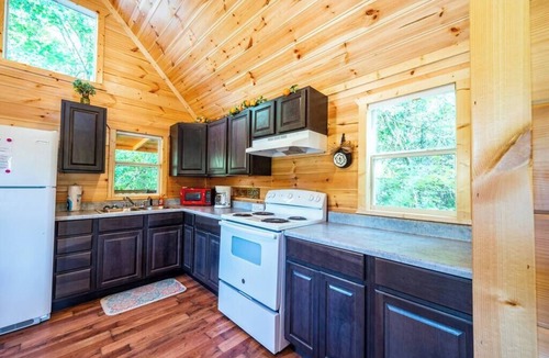 Broken Bow Cabin | Walnut: Sleep 4, Tiny Cabin, Pets, Near Park/Lake