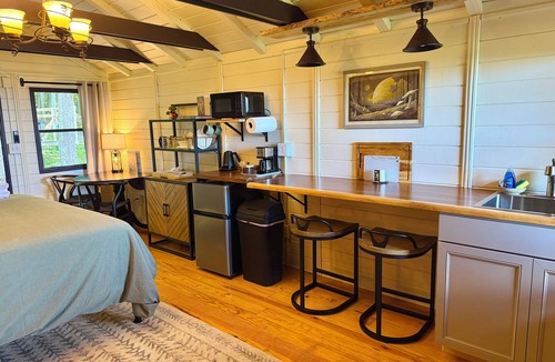 Laurel Ridge Cabin | Welcome to Black Mountain Stomping Ground's Shroom with a View w King Bed/view
