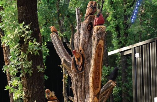 Alvord Cabin | Wooded Cabin w/Pond View near LBJ Grasslands - Book 1 or All 4 Cabins