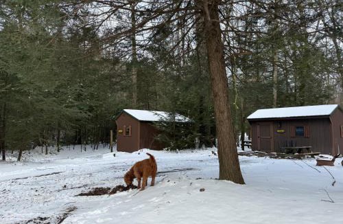 Penn Run Other | yellow creek campground