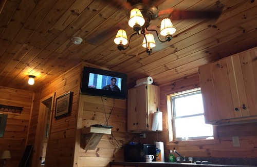 Galeton Cabin | Yellow Warbler Cabin 10 minutes to Cherry Springs