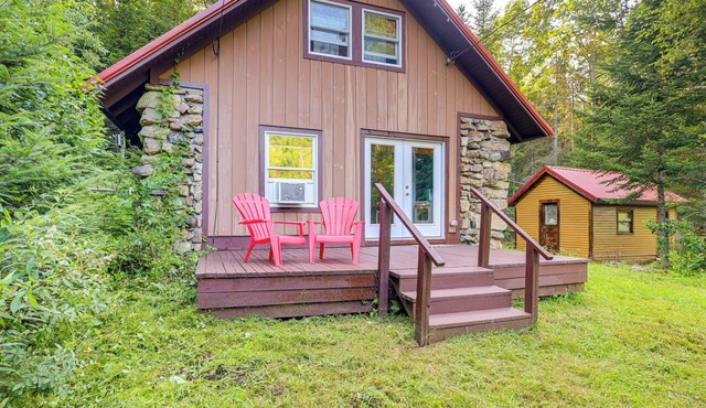 10 Mi to Gore Mountain! Pet-Friendly Cabin