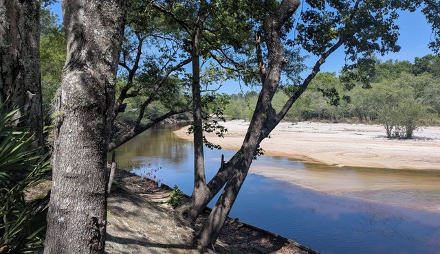 2-bedroom river cabin directly on the satilla river in Brantley county