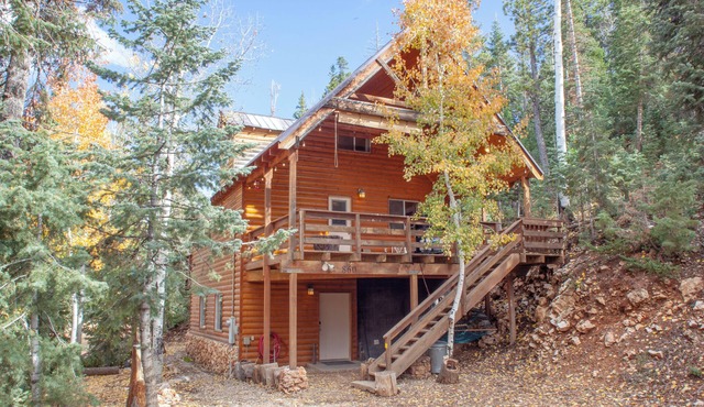 3 Story Cabin w/Spacious Deck and a Treasure Hunt