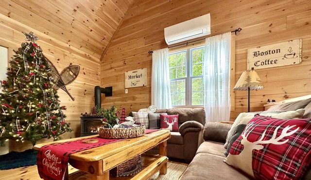 5 Acre Forested Cabin Retreat w/ Firepit Near Acadia's Schoodic Peninsula