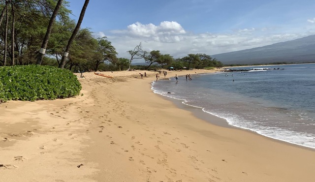 50 steps to the Ocean! Great Maui Location!