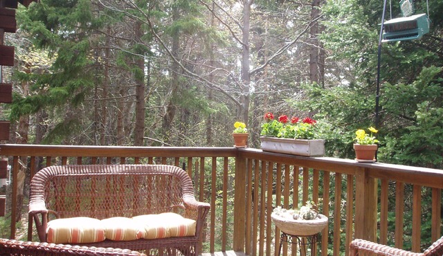 Acadia Cabin on 2 Secluded Wooded Acres near Bar Harbor