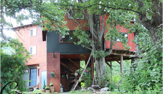 Adorable Tree House/Full Ammenities