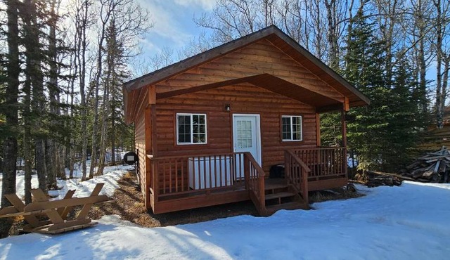 Alaska Summers Lodge Cabin 5-Near Mouth of Kasilof River