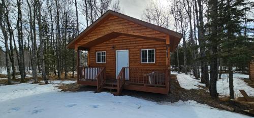 Alaska Summers Lodge Cabin 6-Near Mouth of Kasilof River