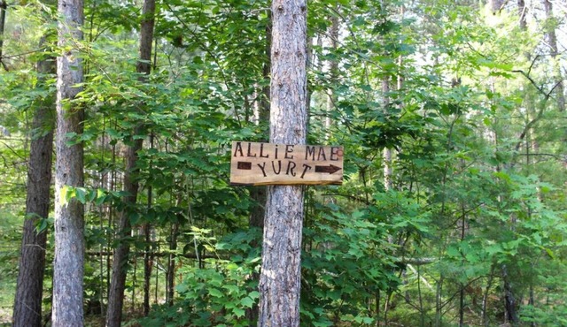 Allie Mae Yurt nestled in the woods