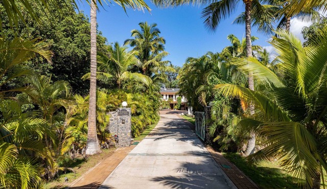 Aloha Aku Ohana Suite – Spacious Garden View Oasis