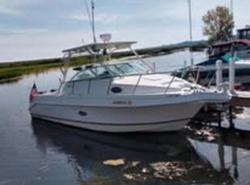 AuGres Walleye Assassin Charters