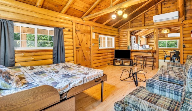 Authentic ski cabin