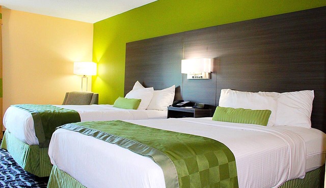 Baymont by Wyndham Springfield
