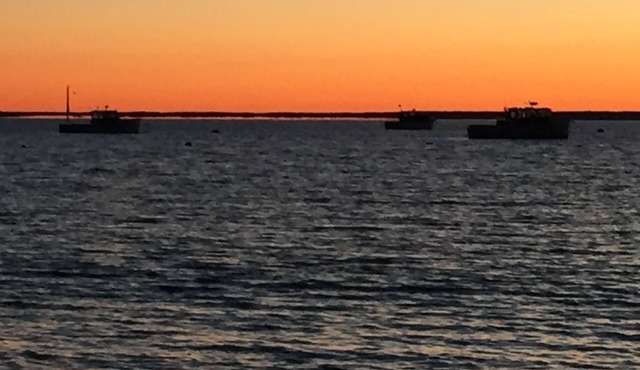 Beaches, Trails, Lighthouses, Lobster, Tranquil, Immaculate, Quiet.