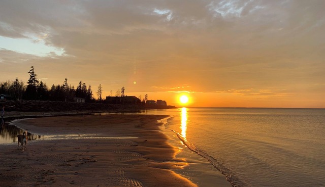 Beachfront Resort Living! Enjoy your own private pool, hot tub, sauna. Sleeps 14