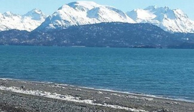 Beluga Lake Lodge