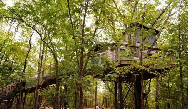 BIGFOOT’S ENCHANTING TREEHOUSE