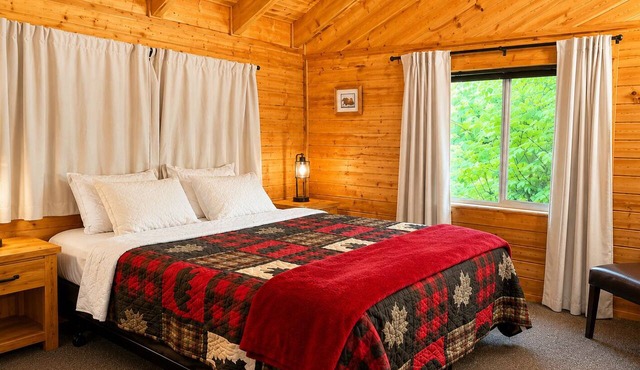 Box Canyon Cabin Bear's Den Cabin - 2 bed, WI-FI