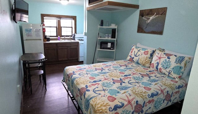 BSI111- Cozy Studio Sleeps 2, Pool, Walk to the Beach, Ocean Views, Dogs OK!