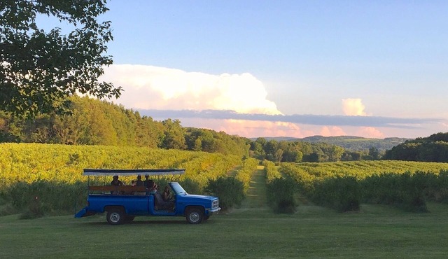 Burdick Blueberry Farm Guest House